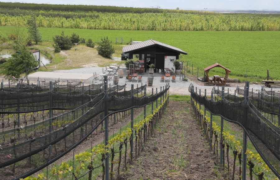 Winzertour & Weinprobe