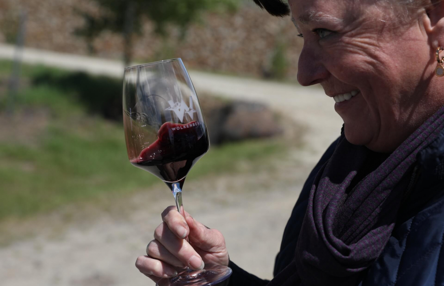 Winzertour & Weinprobe